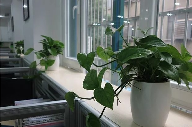 辦公風水5.jpg 辦公風水5.jpg